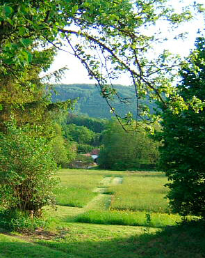 Chambres d'h&ocirc;tes �La Colline aux Loups�